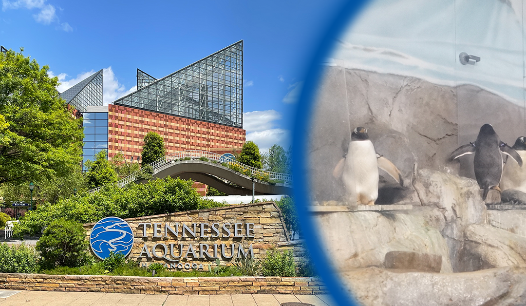 Supporting the Tennessee Aquarium’s Most Precious Assets