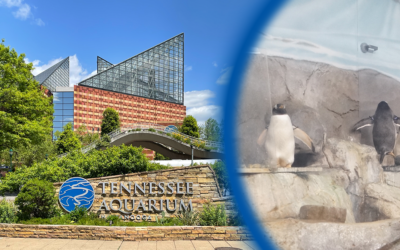 Supporting the Tennessee Aquarium’s Most Precious Assets