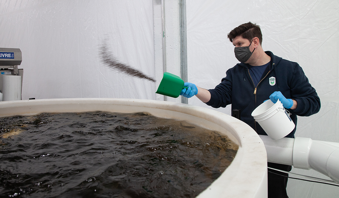 AirSep Oxygen Generator Supports Healthy Aquaculture